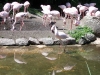 100_5868.jpg